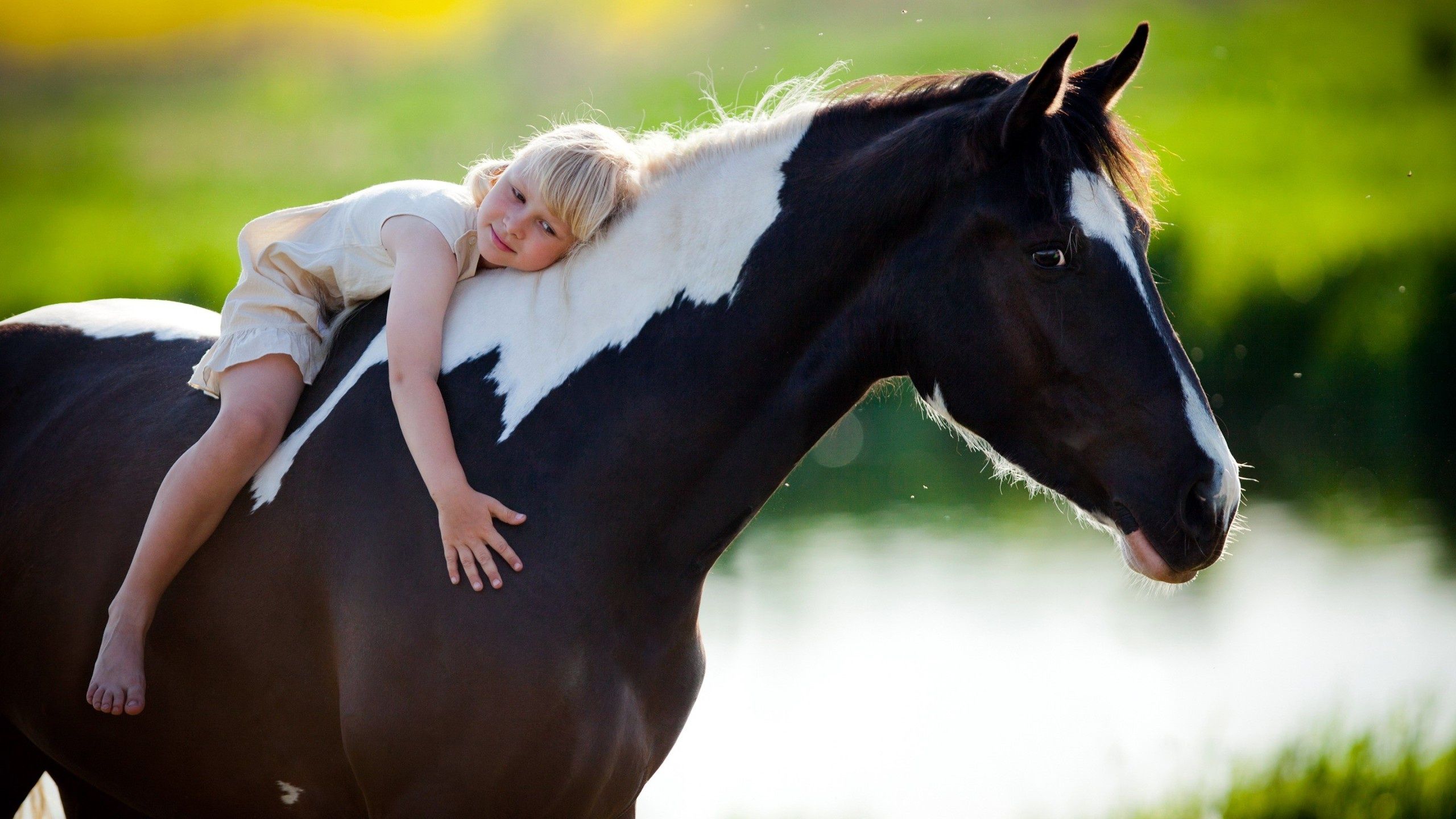 horse + child, Animals, Baby horses