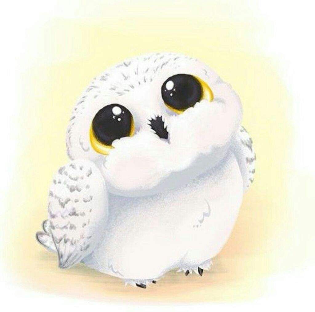 Kawaii Hedwig. Harry Potter Amino #harrypotterfacts. Harry potter cartoon, Harry potter owl, Harry potter drawings