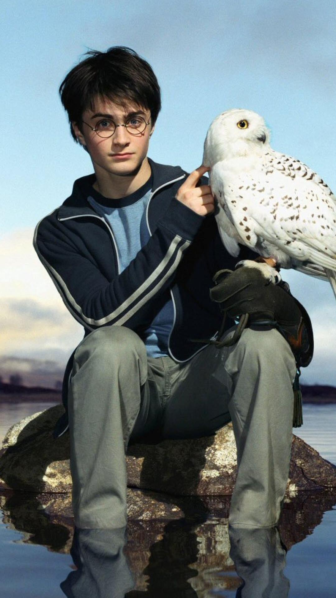 Harry Potter Hedwig Image