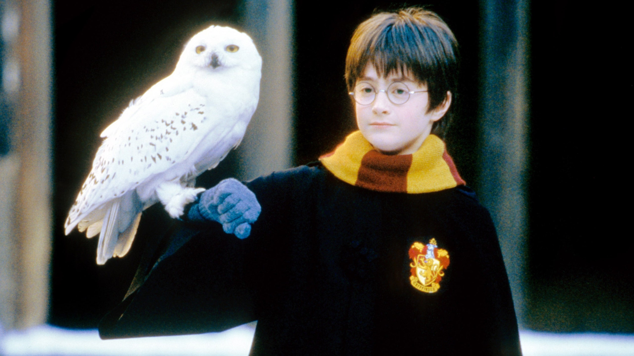 Harry Potter Theory Reveals Which Death Eater Killed Hedwig