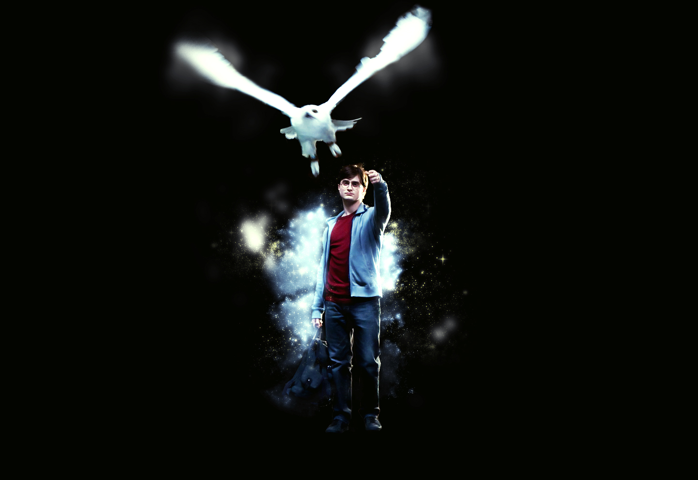 Background Harry Potter Hedwig