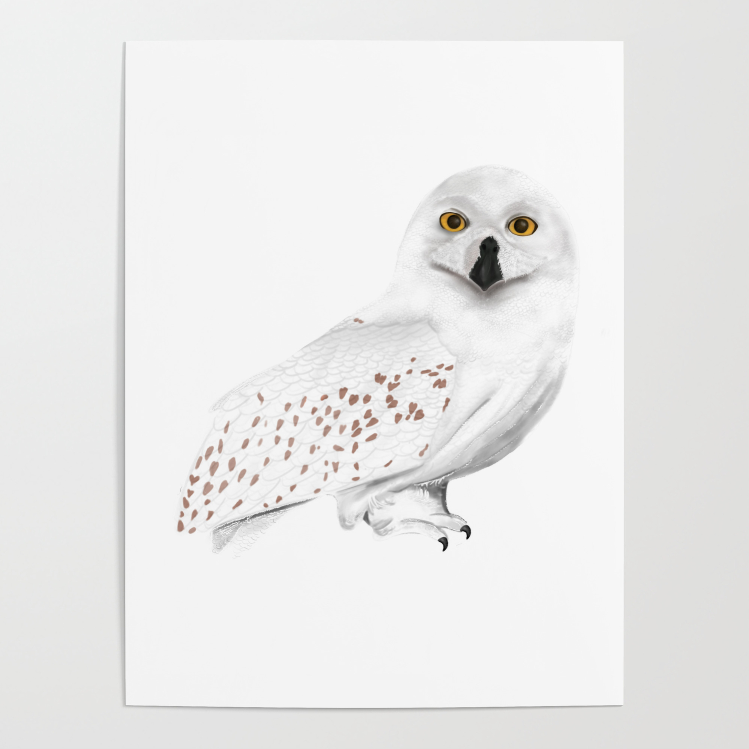 Harry Potter's Hedwig owl Poster