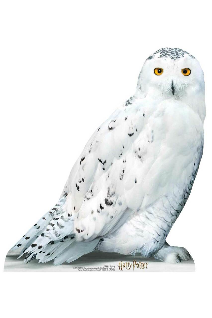 Hedwig Official Harry Potter Cardboard Cutout / Standup / Standee