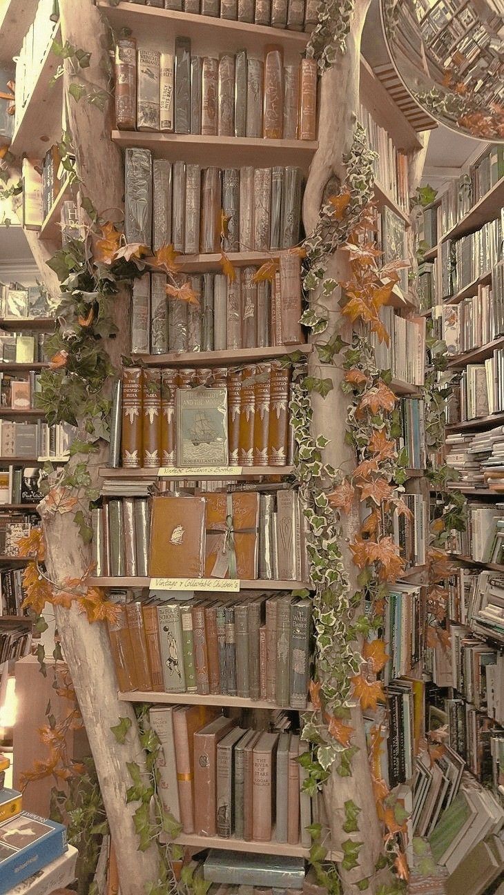 26) green aesthetic. Aesthetic wallpaper, Library aesthetic, Green aesthetic
