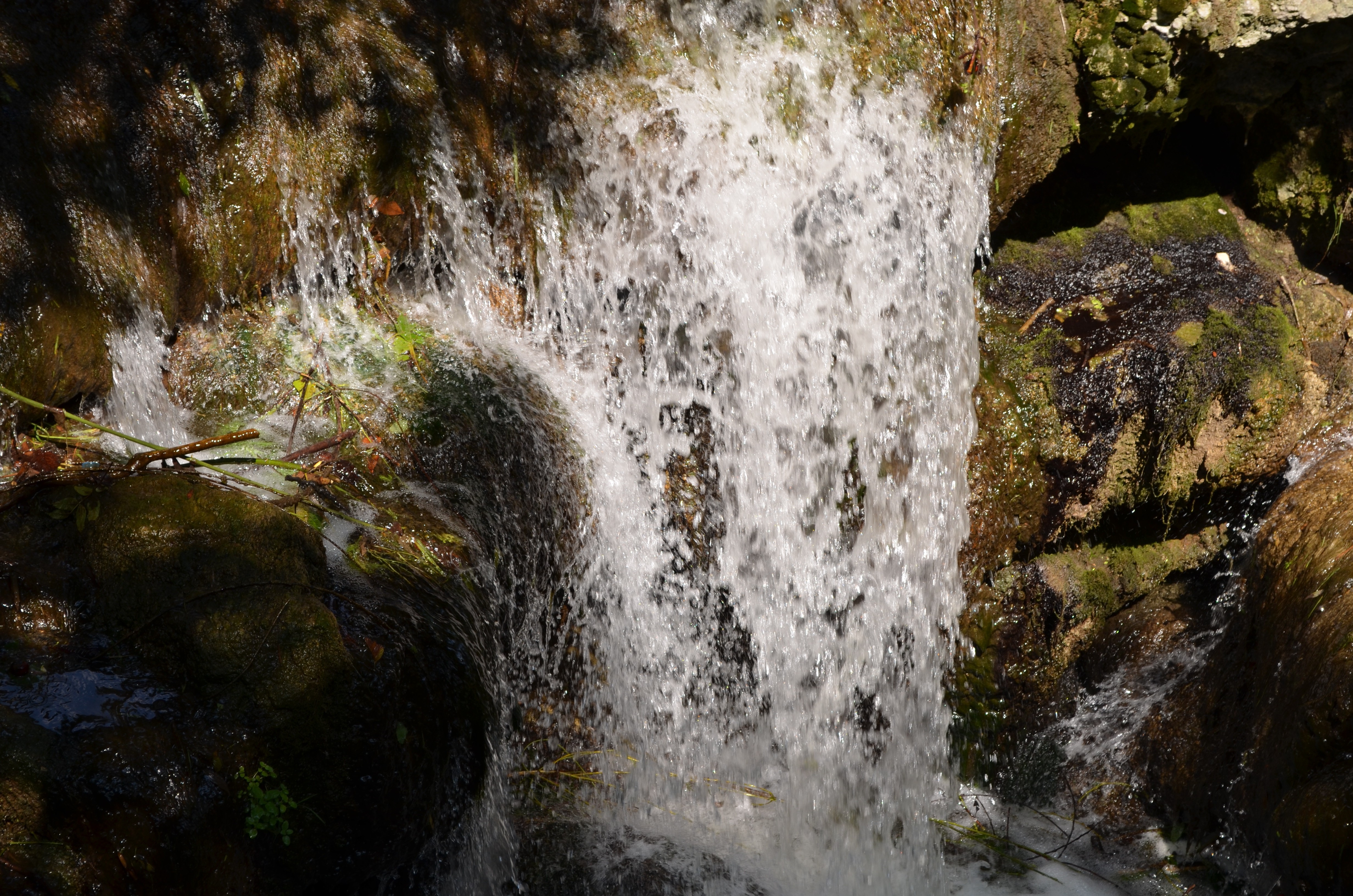nature, Green, Trees, Water, Flowers, Grass, Brown Wallpaper HD / Desktop and Mobile Background