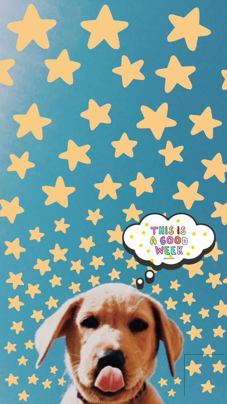 wallpaper #summer #puppies #puppy #vsco. Puppy wallpaper, Cute puppies golden retriever, Small cute puppies