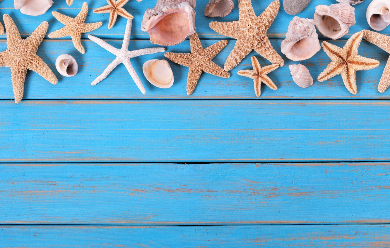 Wallpaper beach, background, Board, star, shell, summer, beach, wood, marine, starfish, seashells image for desktop, section разное