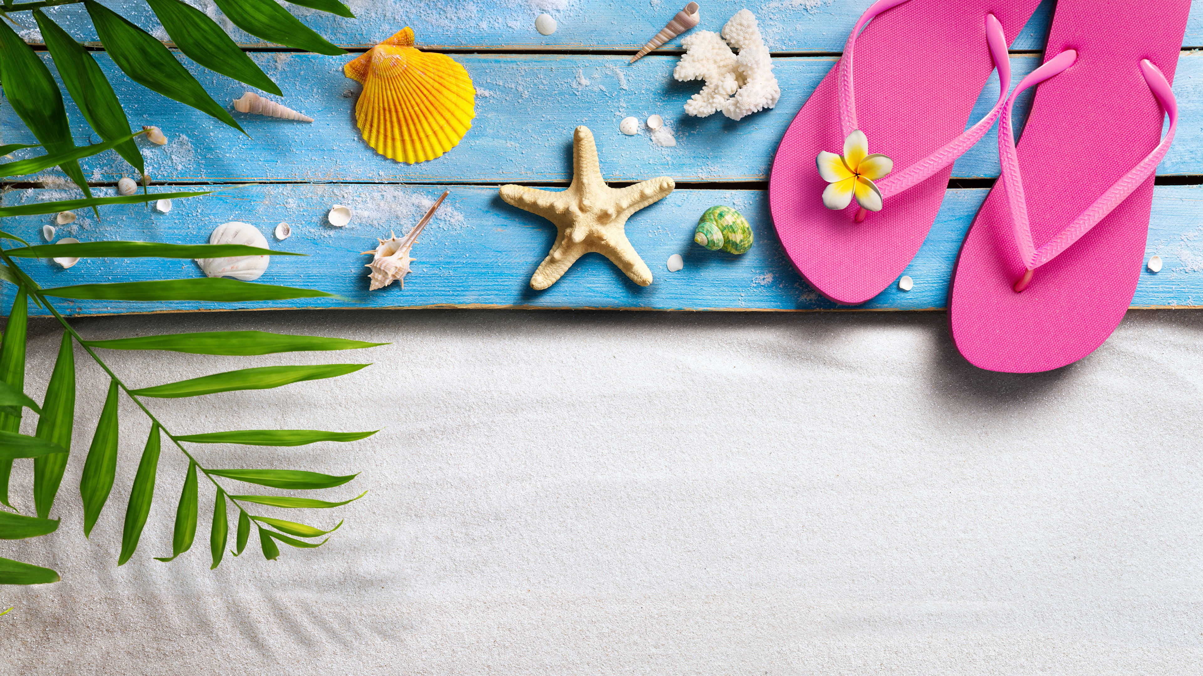 Wallpaper Starfish Flip Flops Summer Shells Boards 3840x2160