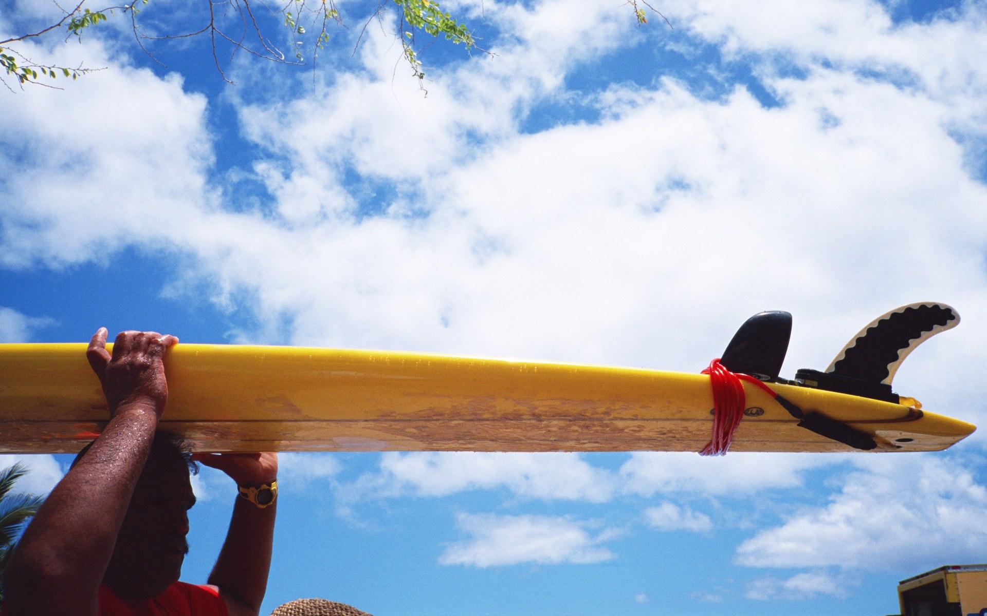 Board, water, yellow, animated, background, summer, nature, wallpaper