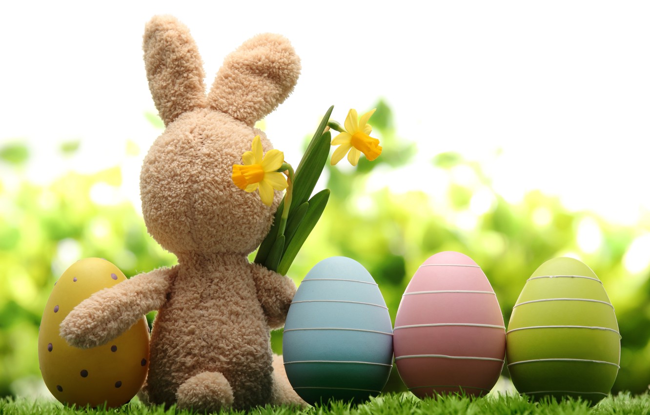 Wallpaper grass, flowers, nature, holiday, toy, hare, eggs, spring, Easter, daffodils, Easter image for desktop, section праздники