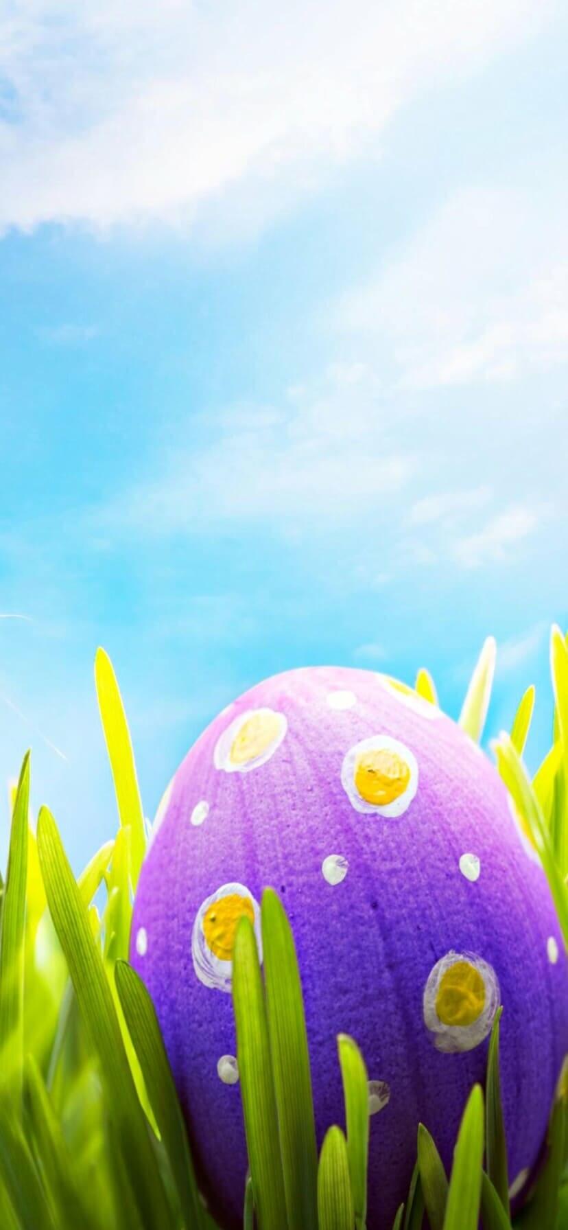 4K nature Easter Wallpaper iPhone 13 pro max
