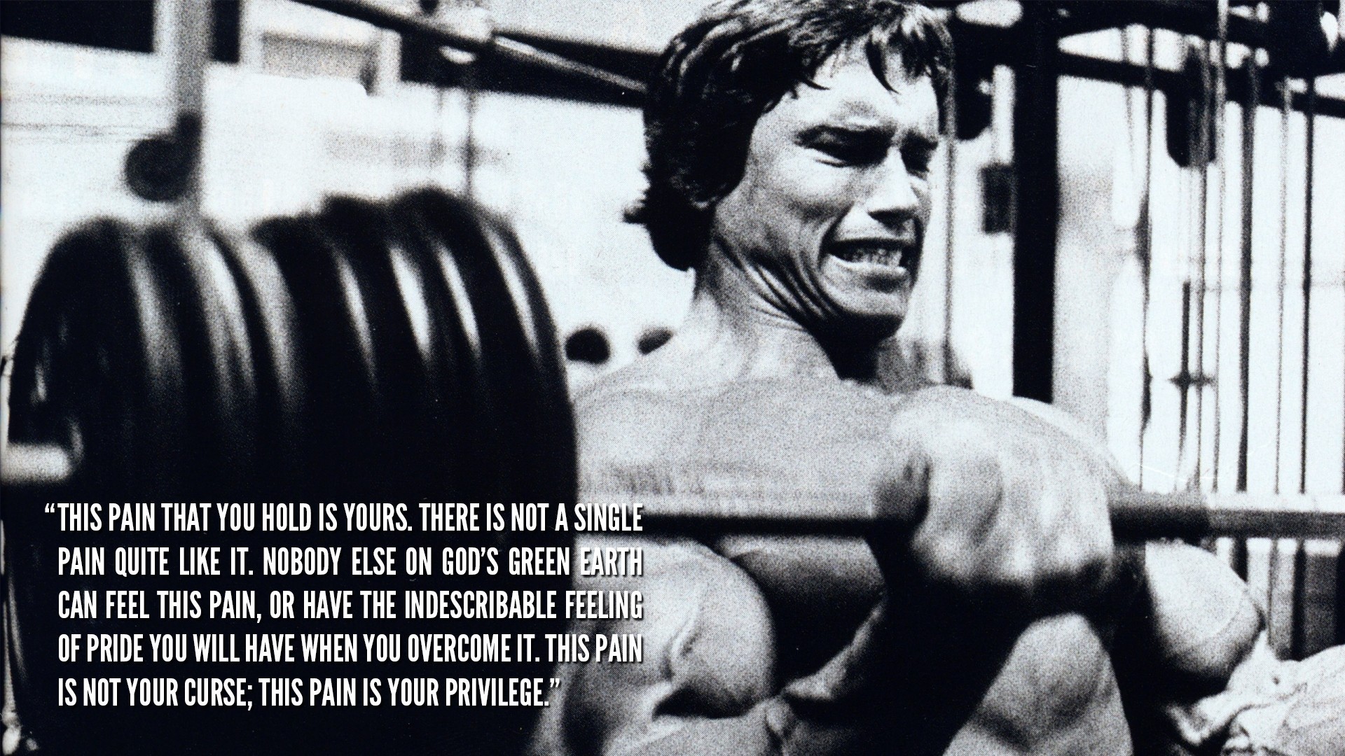 Arnold Schwarzenegger, Motivational, Quote, Bodybuilding, Schwarzenegger Motivation