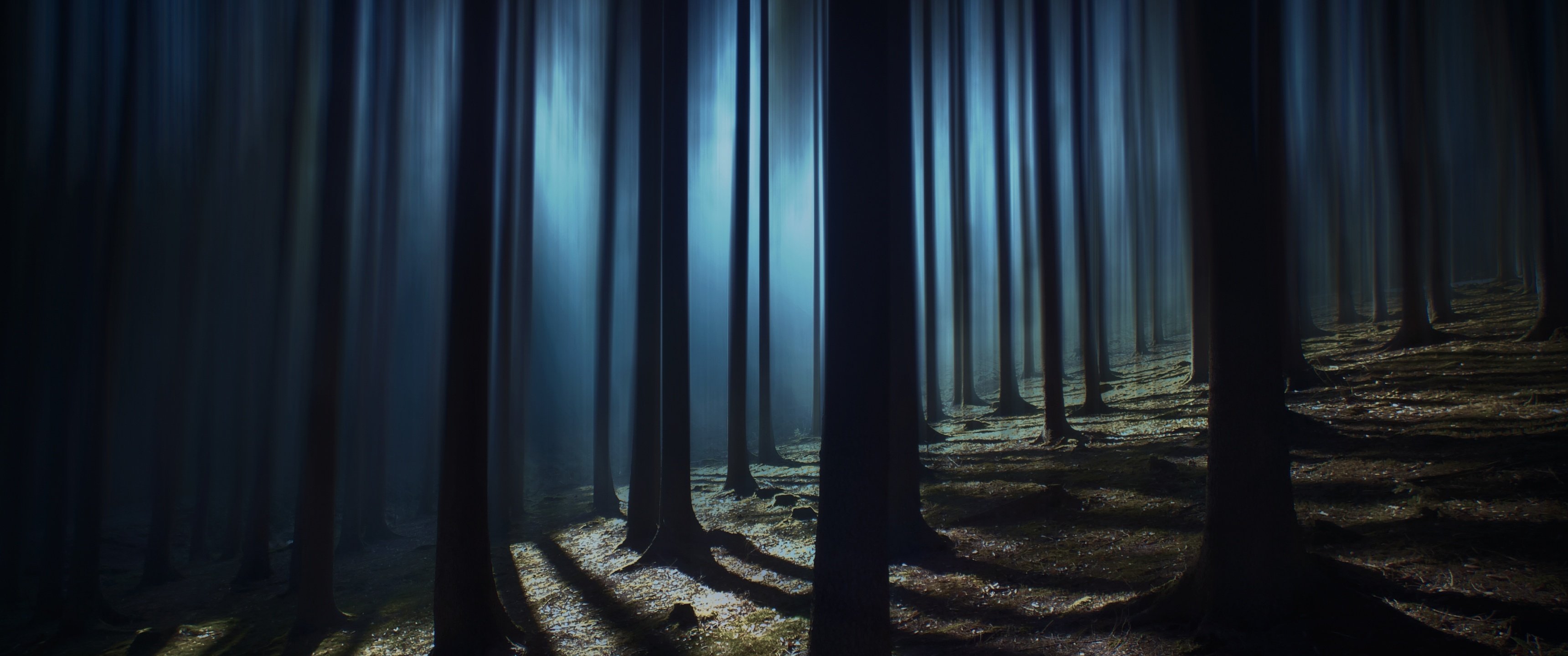 Dark Forest Wallpaper 4K, Woods, Night time, Dark, Shadow, Tall Trees, Nature