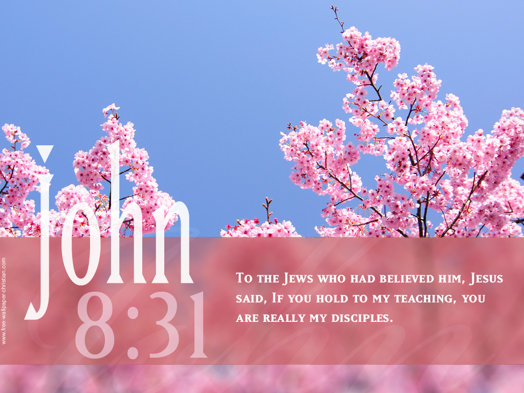 Free download Wallpaper Bible Quotes with Background Bible Quotes Wallpaper [1024x768] for your Desktop, Mobile & Tablet. Explore Spring Scripture Wallpaper. Bible Verses Wallpaper, God Live Wallpaper for PC