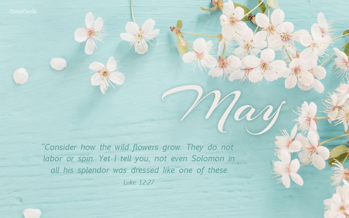 Beautiful Spring Christian Wallpaper