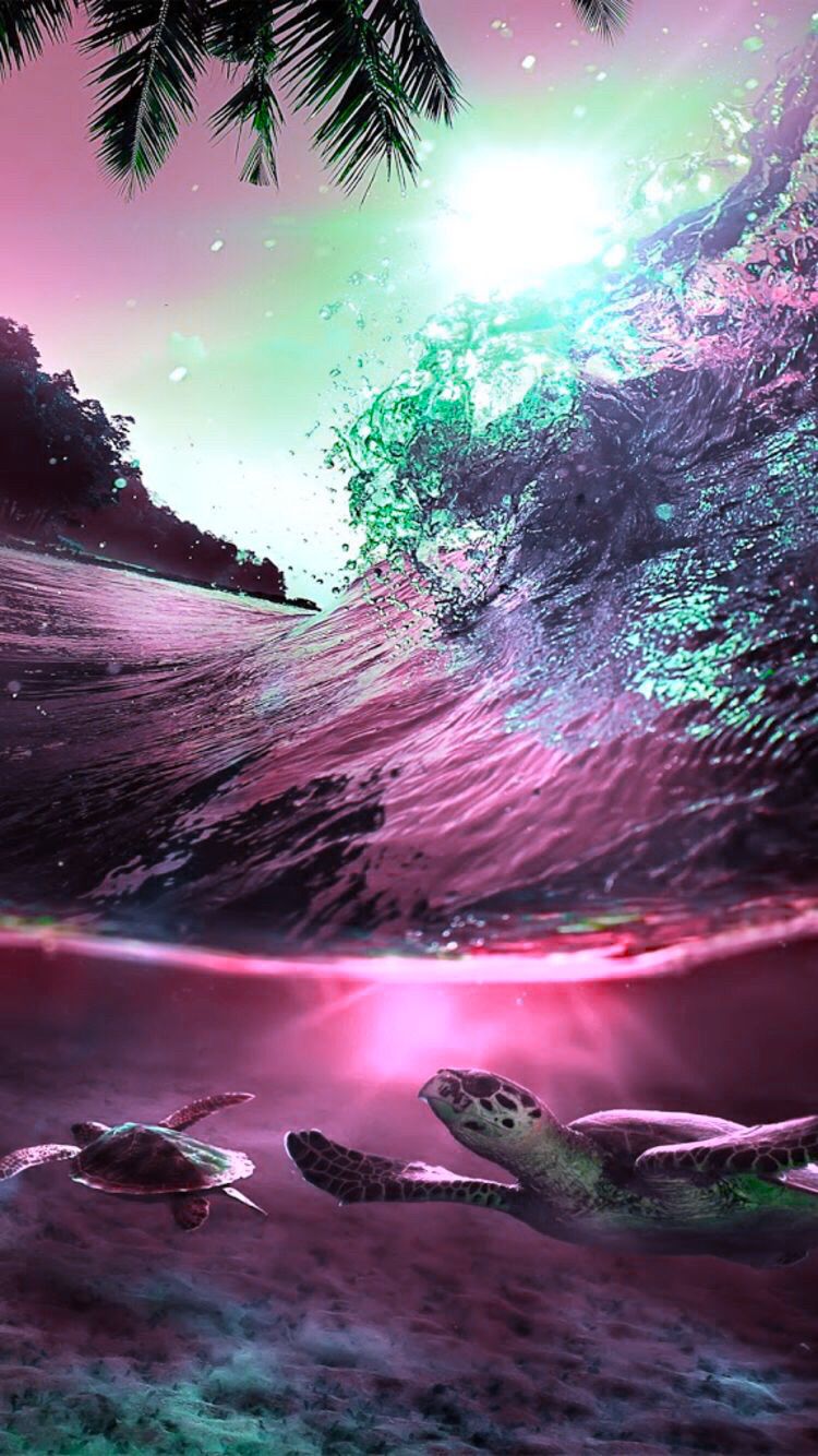 Turtle sunset waves summer. Turtle wallpaper, Ocean wallpaper, Cute wallpaper background