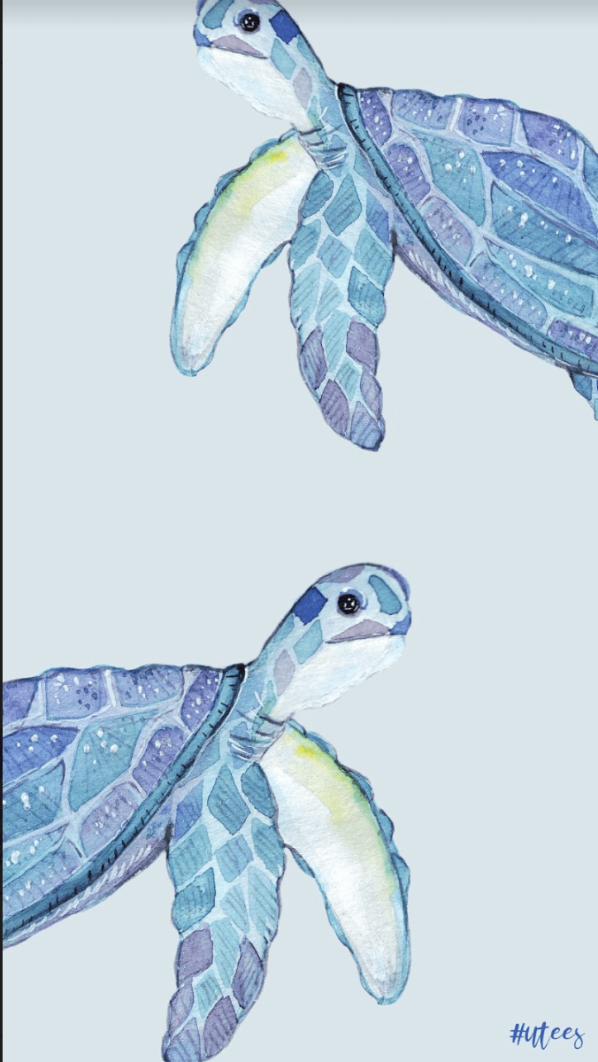 Turtle Watercolor Wallpaper, HD Turtle Watercolor Background on WallpaperBat