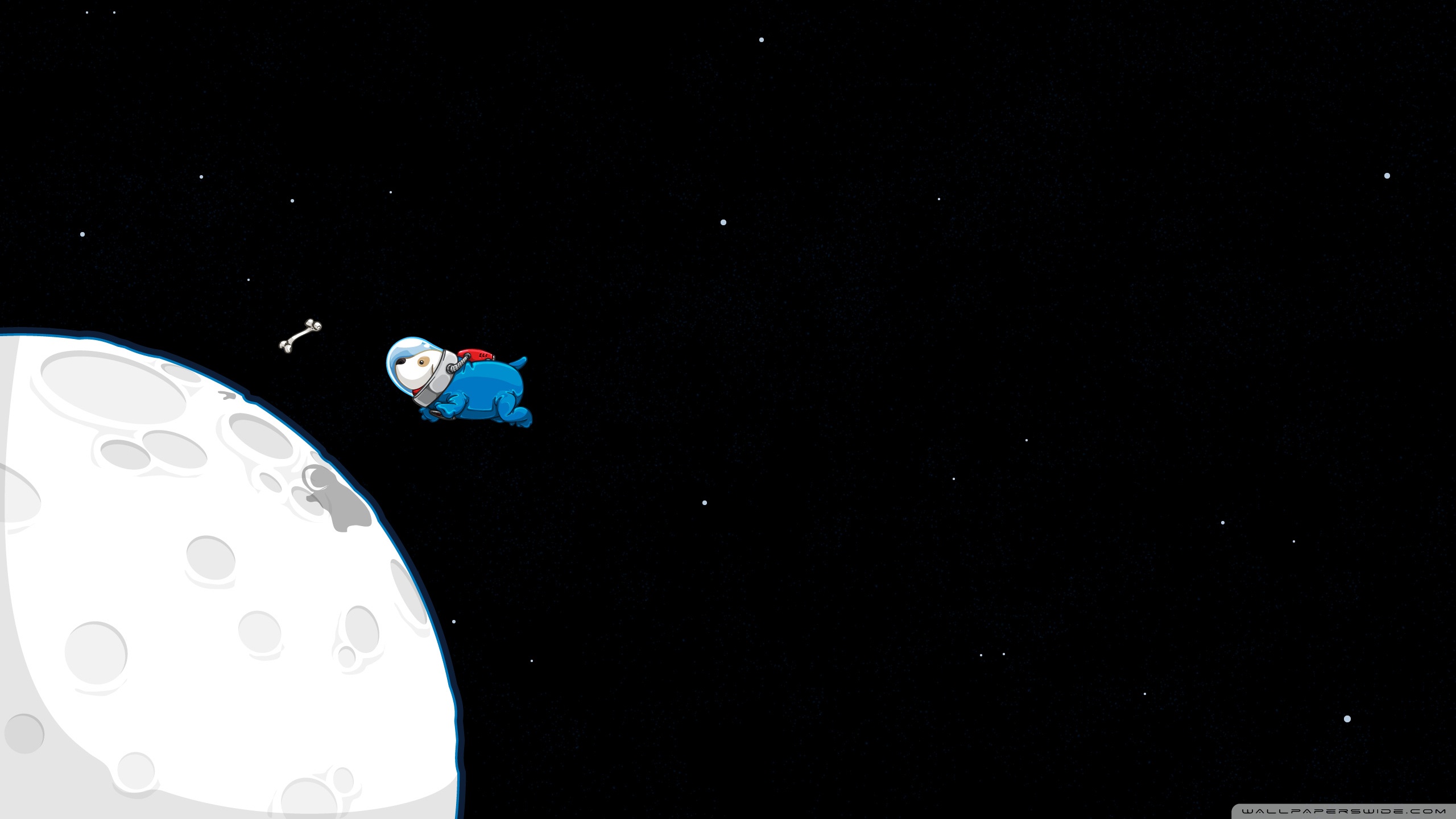 Funny Spacedog Ultra HD Desktop Background Wallpaper for 4K UHD TV, Tablet