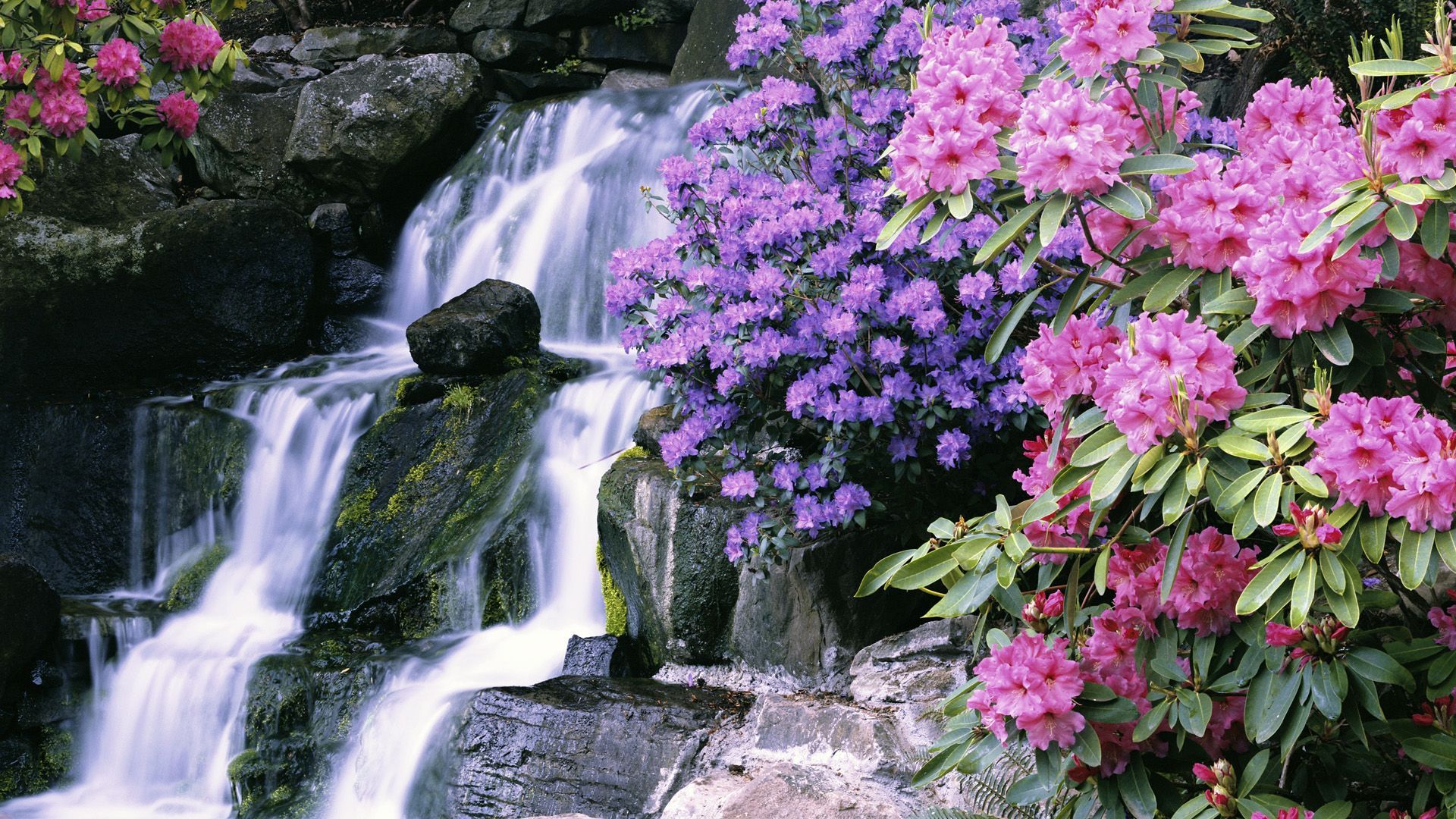 Lovely Waterfall Wallpaper 45365 1920x1080 px. Waterfall scenery, Garden waterfall, Waterfall
