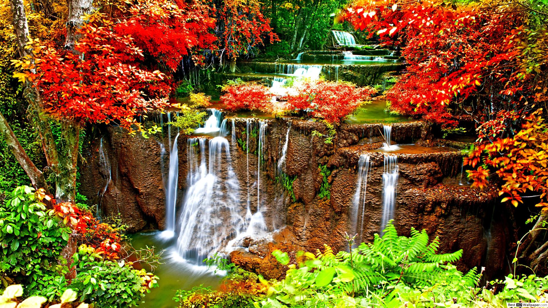 Waterfall Surrounded By Flowers
