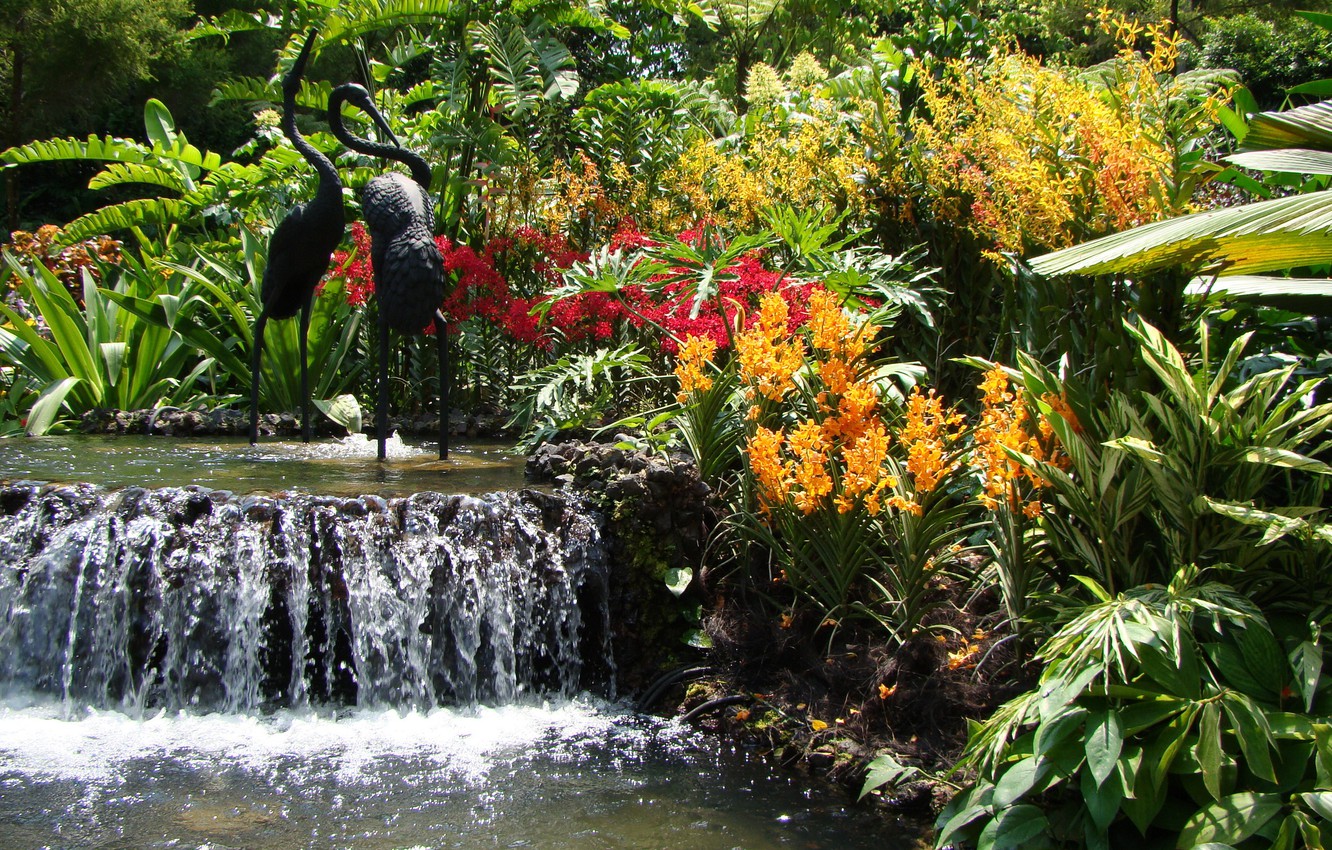Wallpaper flowers, pond, waterfall, Garden image for desktop, section природа