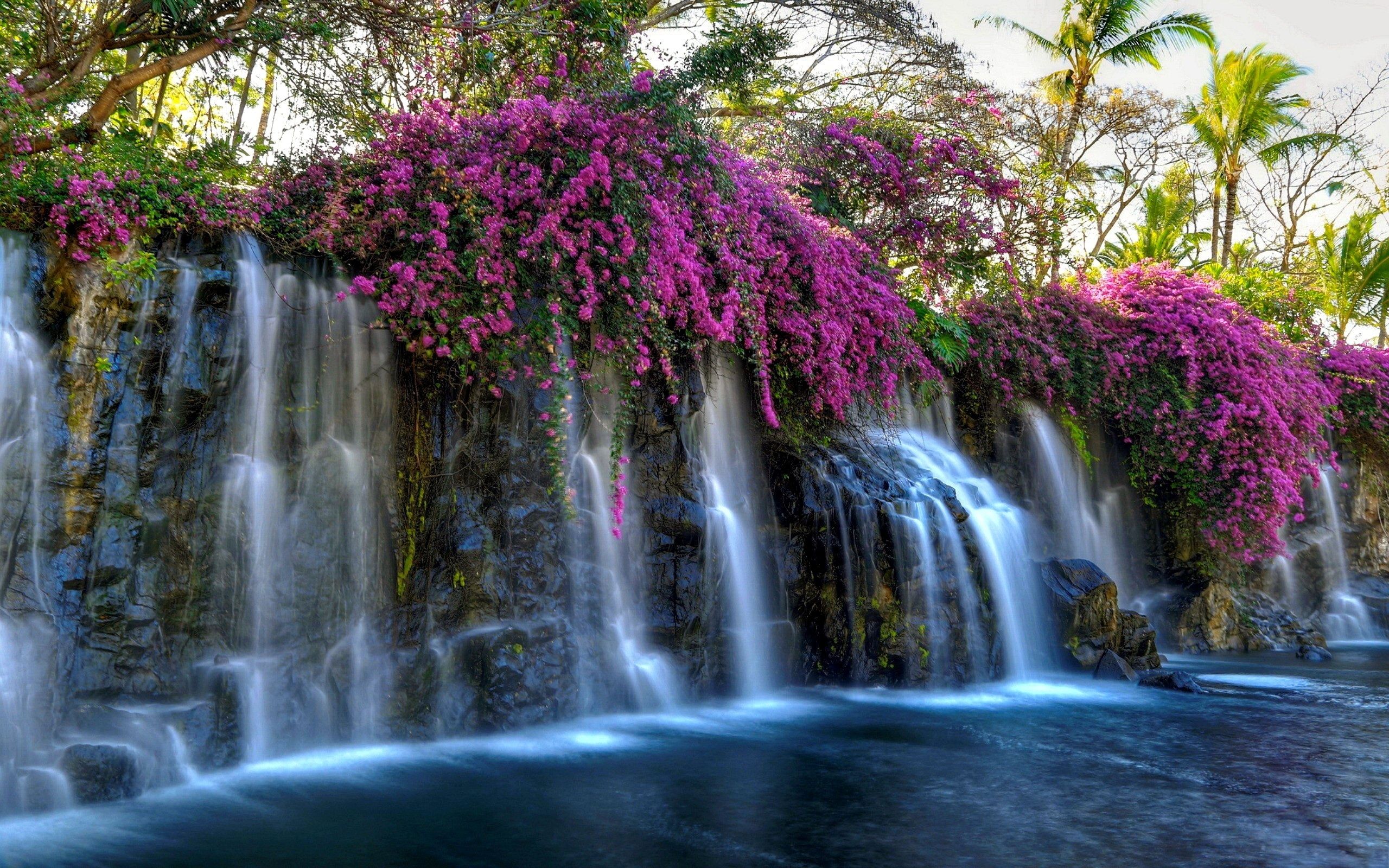 Flower Waterfall Trees Wallpaper