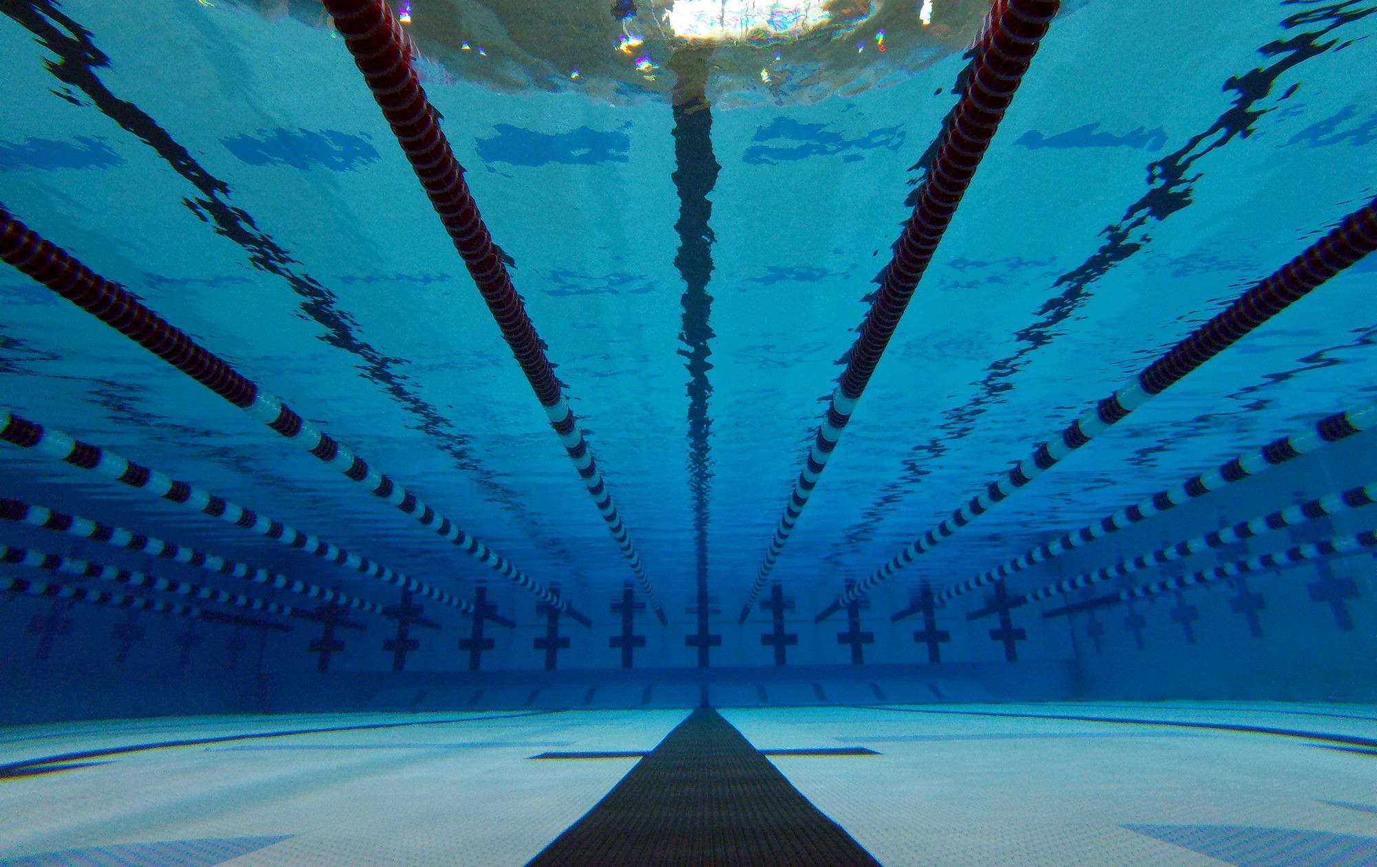 Swimming Wallpaper
