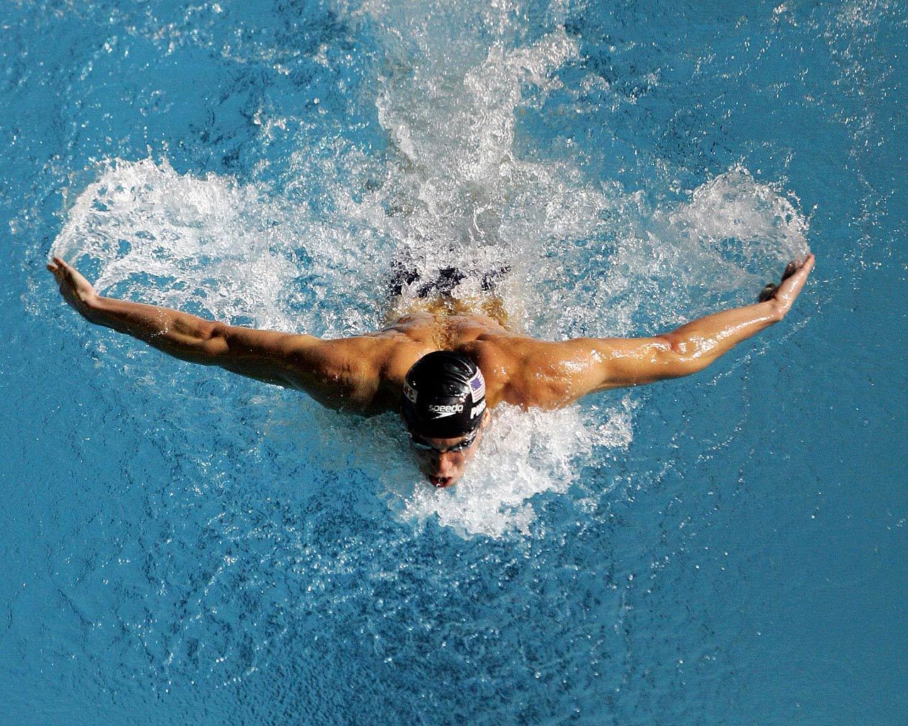 Free download Swimming image BUTTERFLY HD wallpaper and background [1280x1024] for your Desktop, Mobile & Tablet. Explore Swimming Wallpaper. Swimming Wallpaper, Swimming Wallpaper, Swimming Goldfish Wallpaper