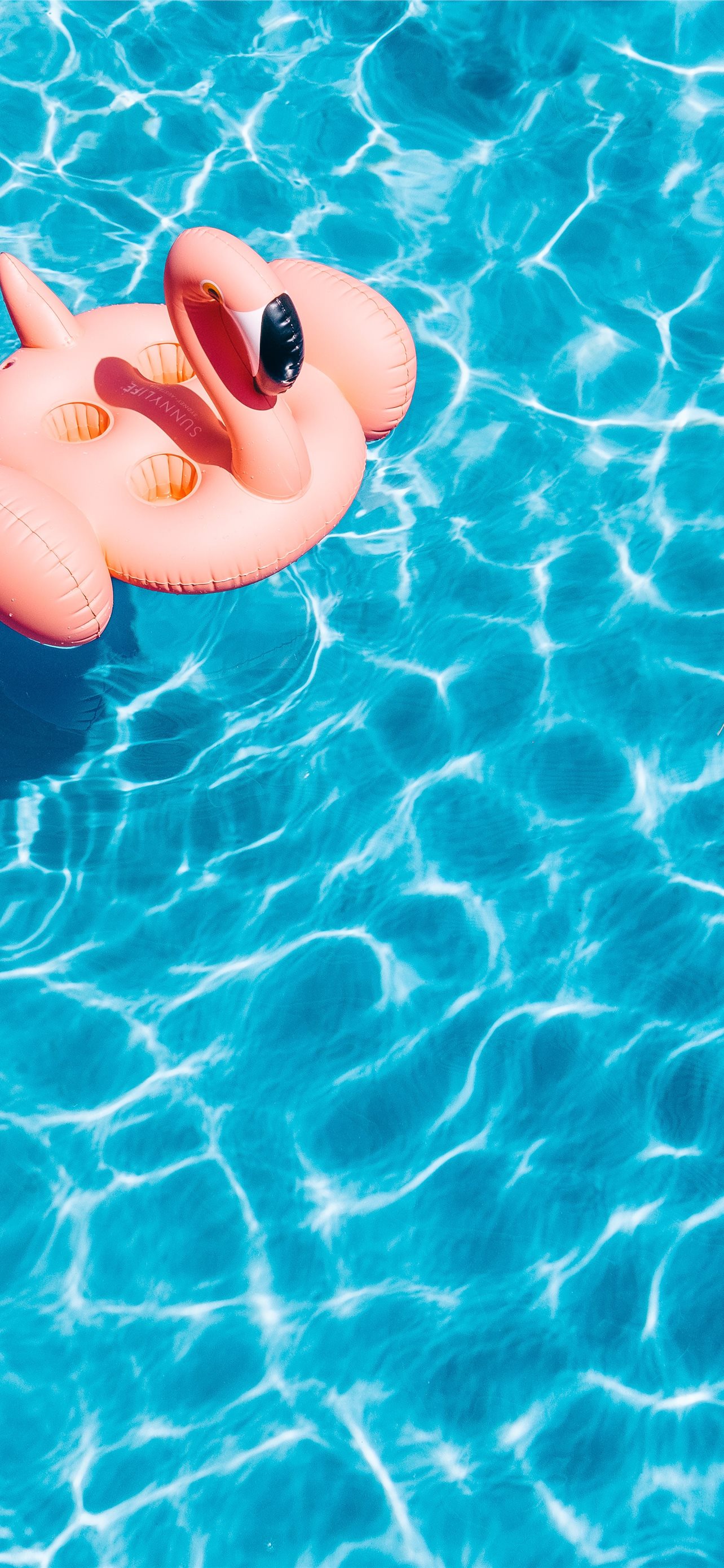 Best Swimming iPhone HD Wallpaper