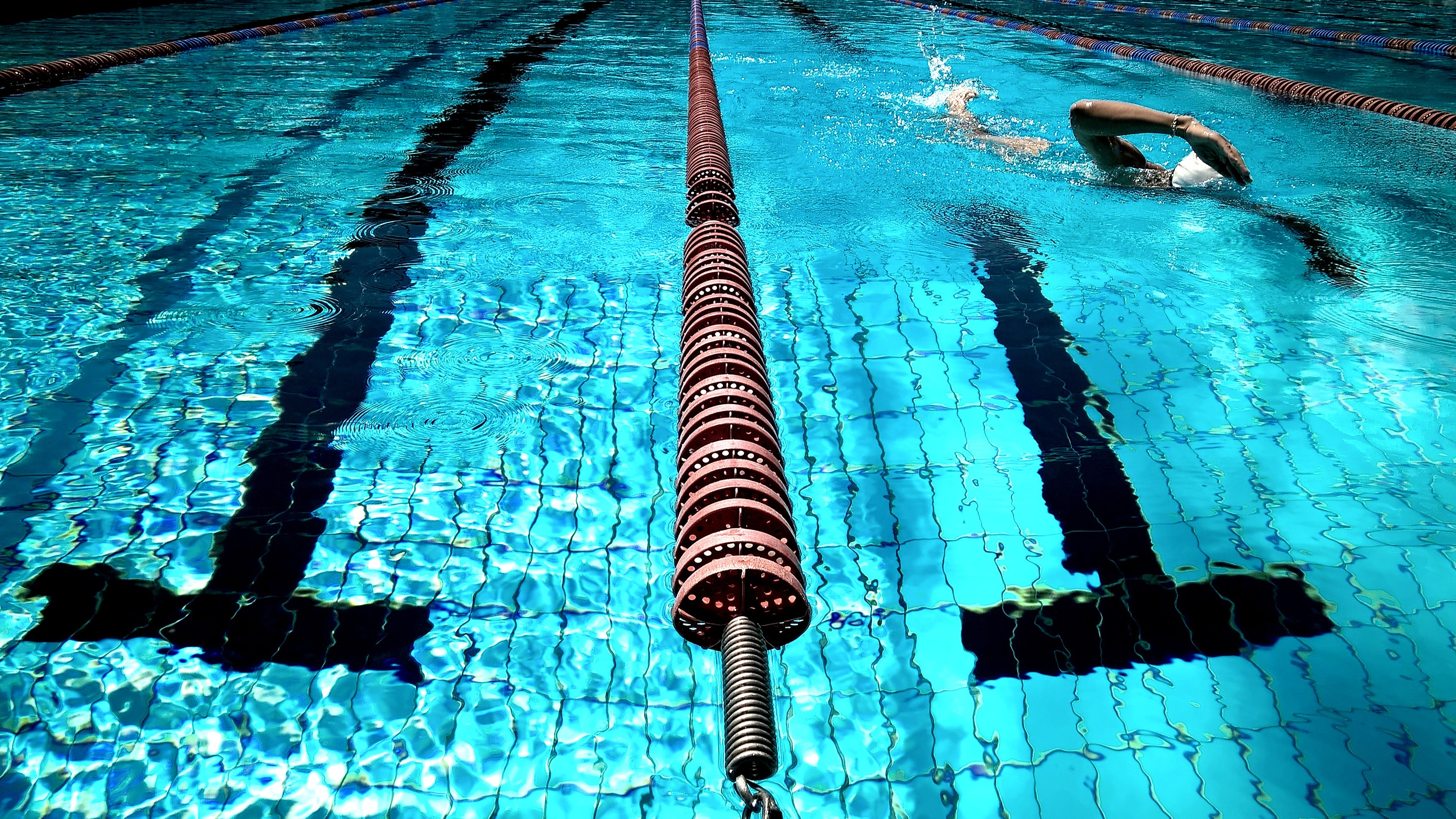 10,Best Swimming Photo · 100% Free Downloads