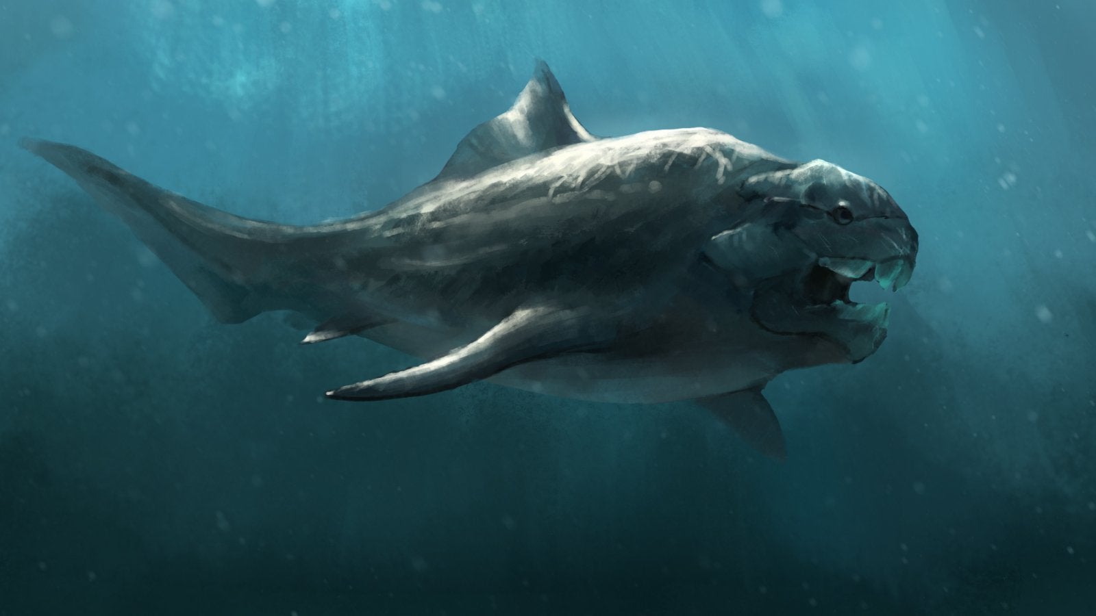 Dunkleosteus Sketch [OC]