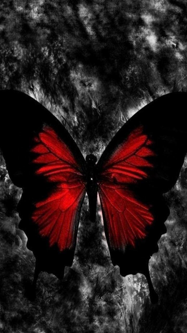 Gothic Butterfly Wallpaper
