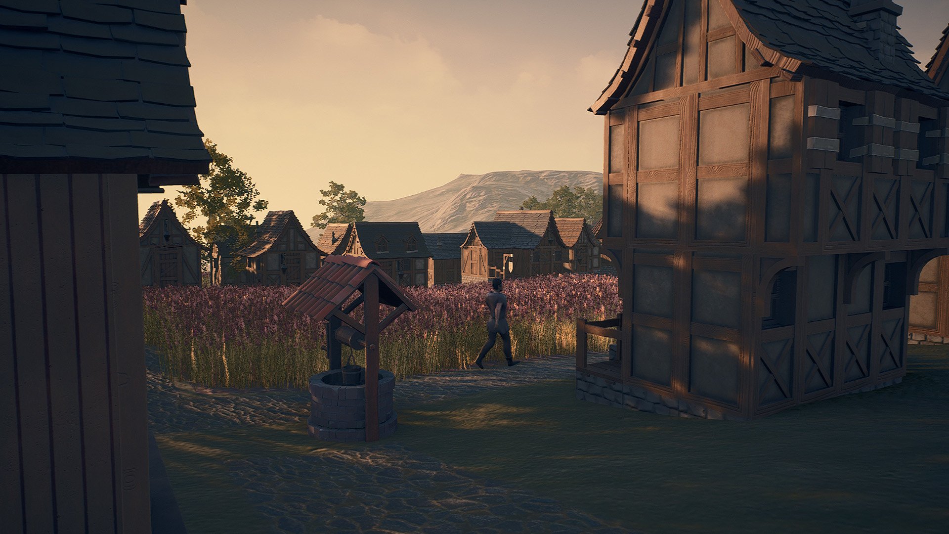 New Home: Medieval Village on Steam