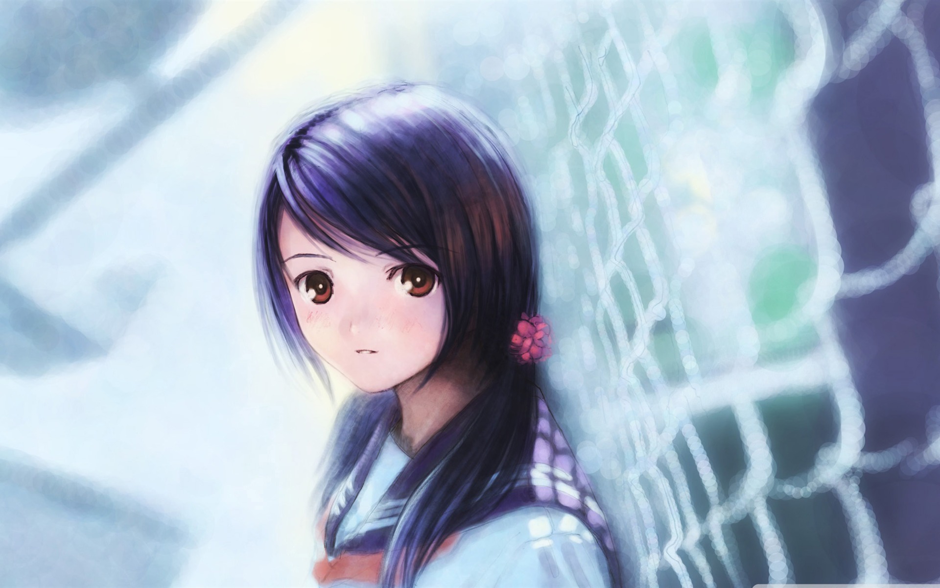 Anime Girl Cartoon Characters HD Wallpaper