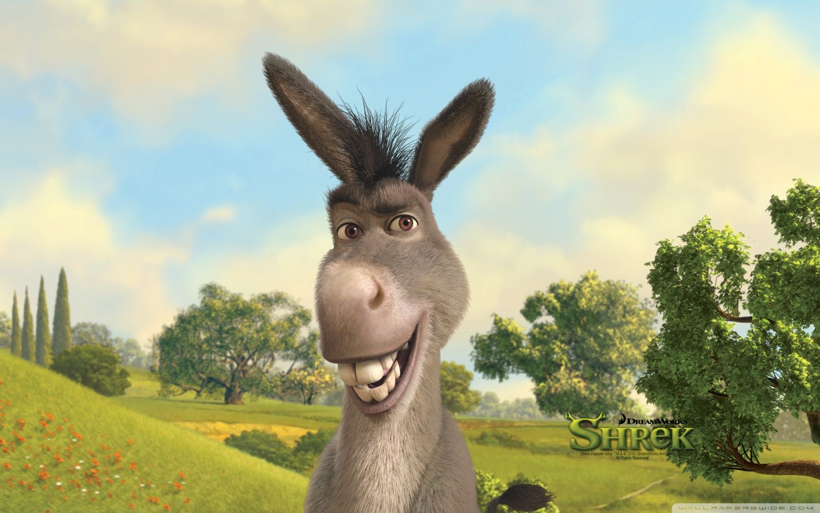 Shrek and Donkey Wallpaper