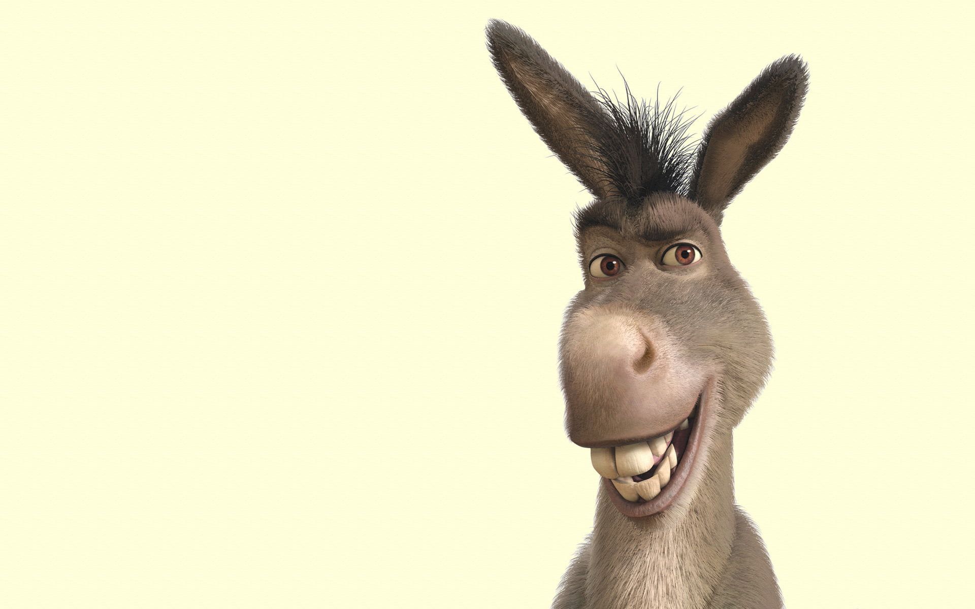 Shrek Donkey #smile #Shrek #donkey #soup #Shrek P #wallpaper #hdwallpaper #desktop. Shrek donkey, Shrek, Dreamworks characters