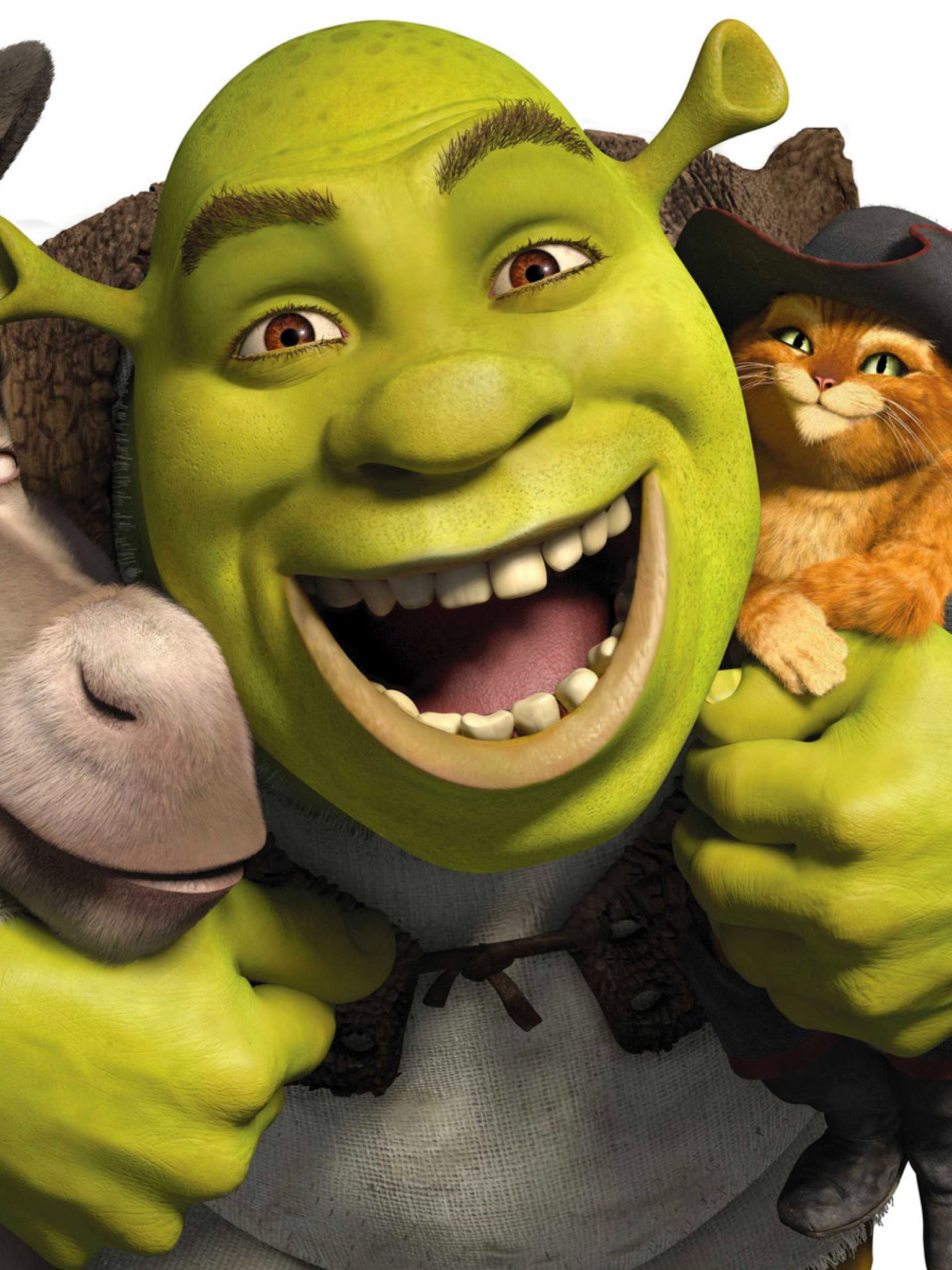 Donkey Shrek Puss In Boots Wallpaper for Desktop and Mobiles Retina iPad