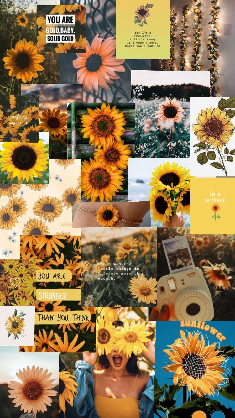 Free Aesthetic Sunflower Wallpaper  EPS Illustrator JPG PNG SVG   Templatenet