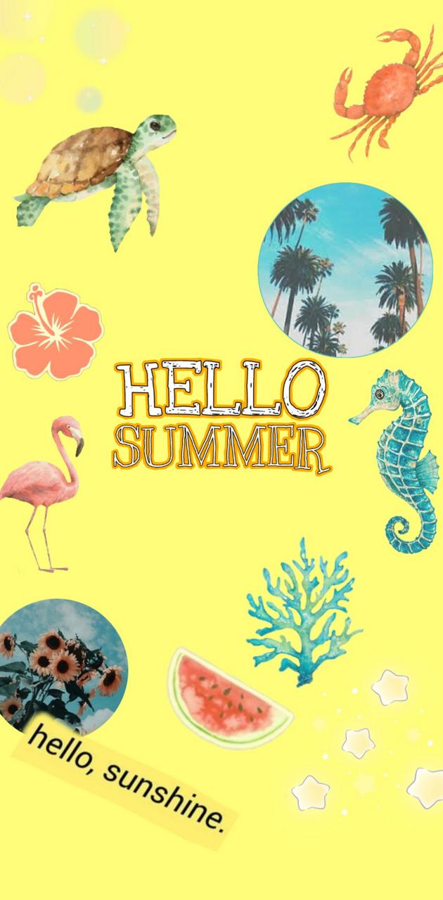 Hello Summer wallpaper