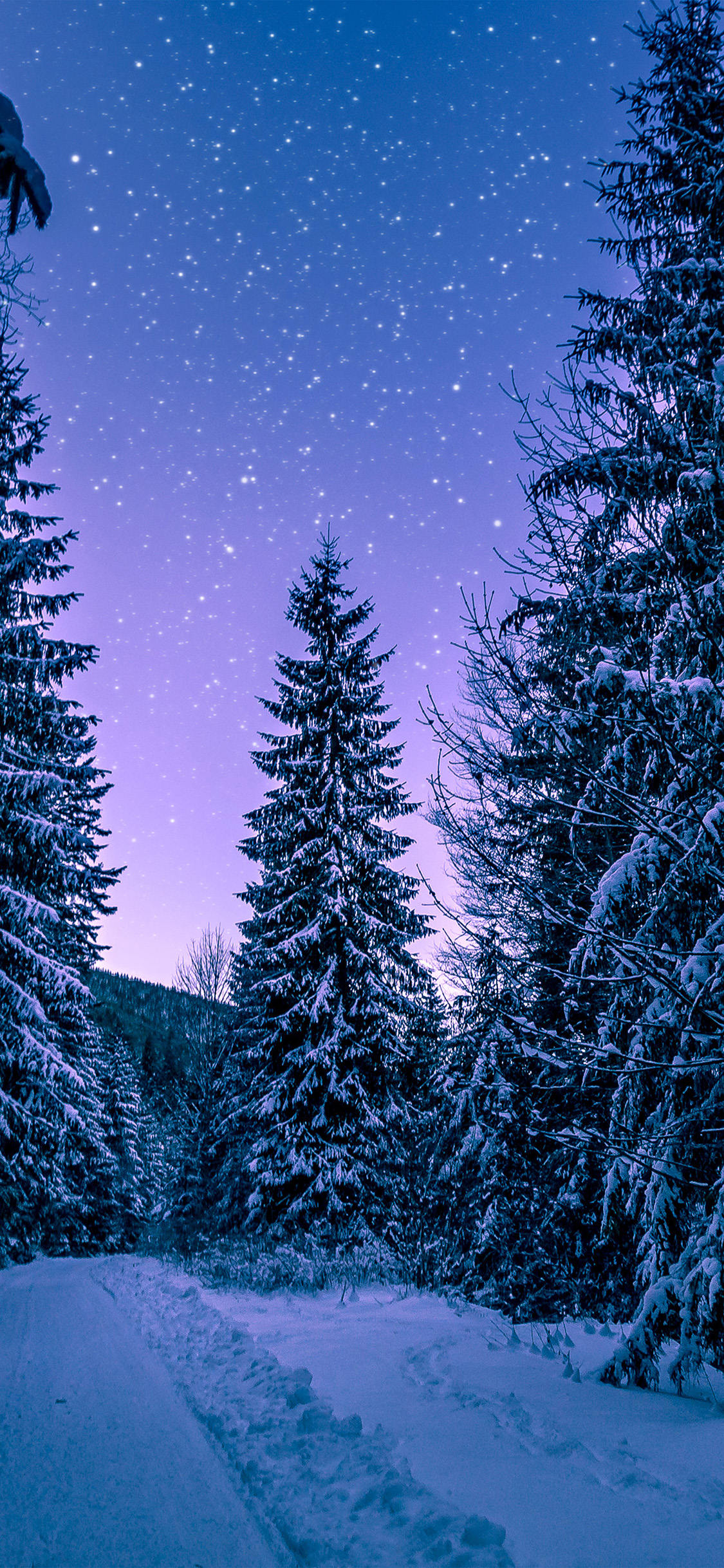 iPhone X wallpaper. snow winter wood tree road night nature