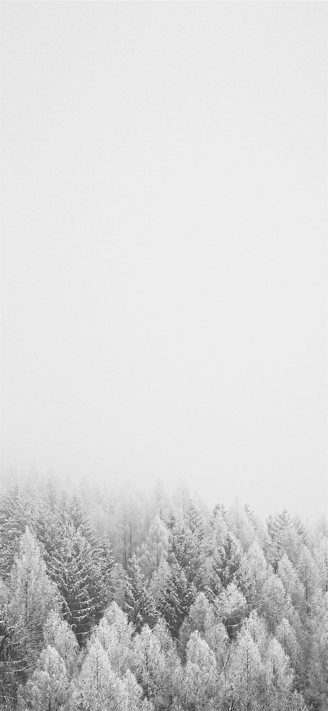 snow covered trees during daytime iPhone 11 Wallpaper Free Download