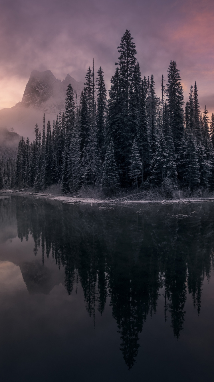 Download Lake, forest, winter, trees, evening wallpaper, 750x1334, iphone 7, iPhone 8