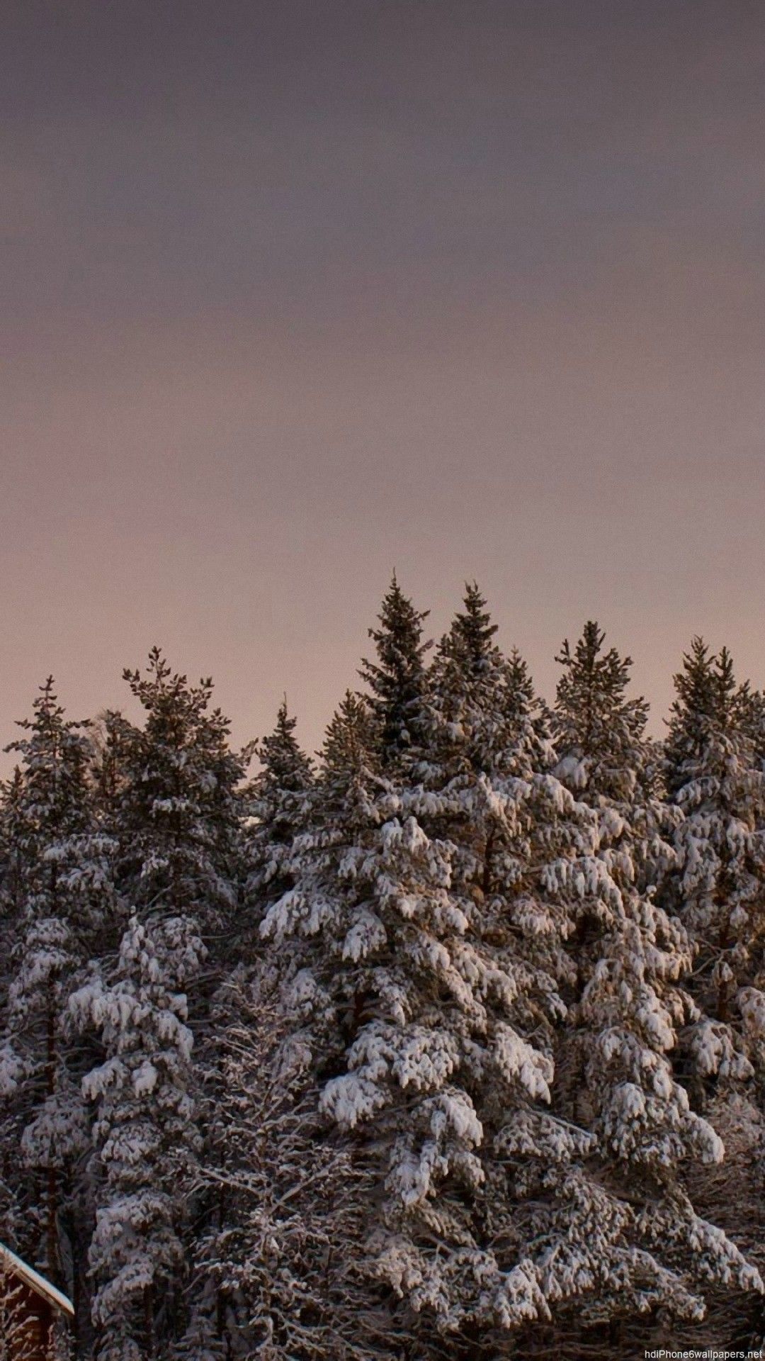 Snow iPhone Wallpaper