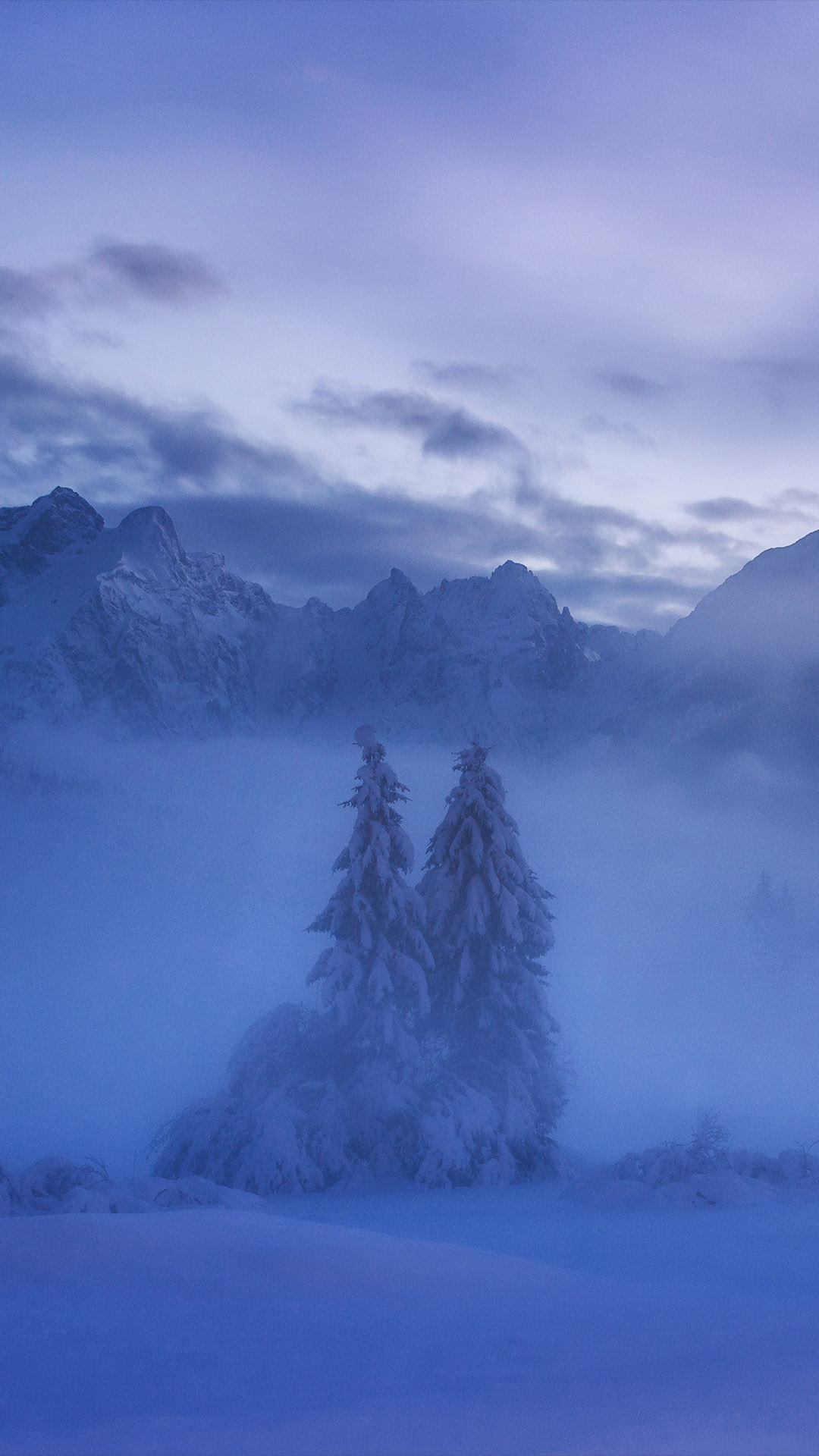 Dreamy Pixel. Free iPhone Wallpaper: Winter trees