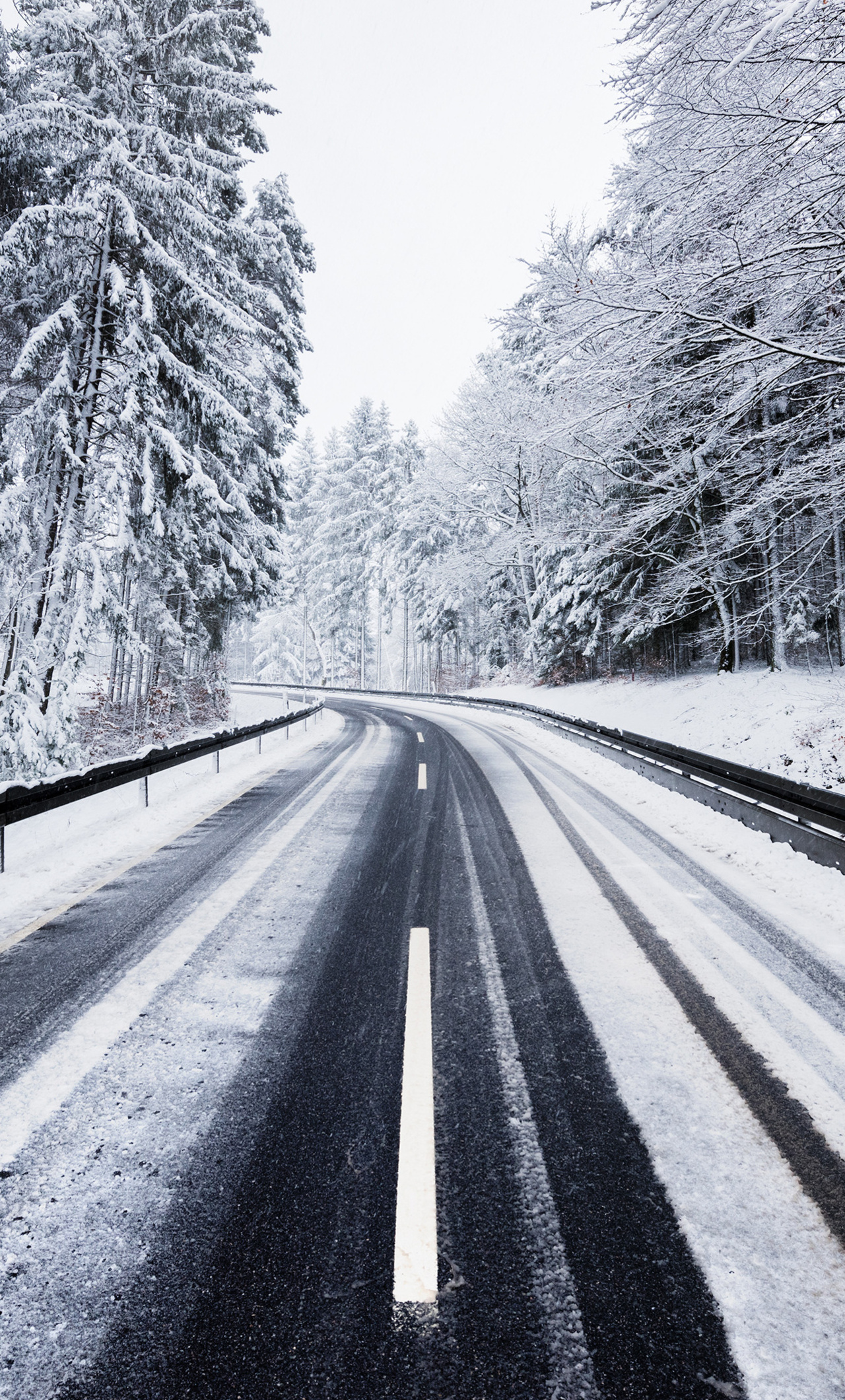 Winter Road Trees Nature 4k iPhone HD 4k Wallpaper, Image, Background, Photo and Picture