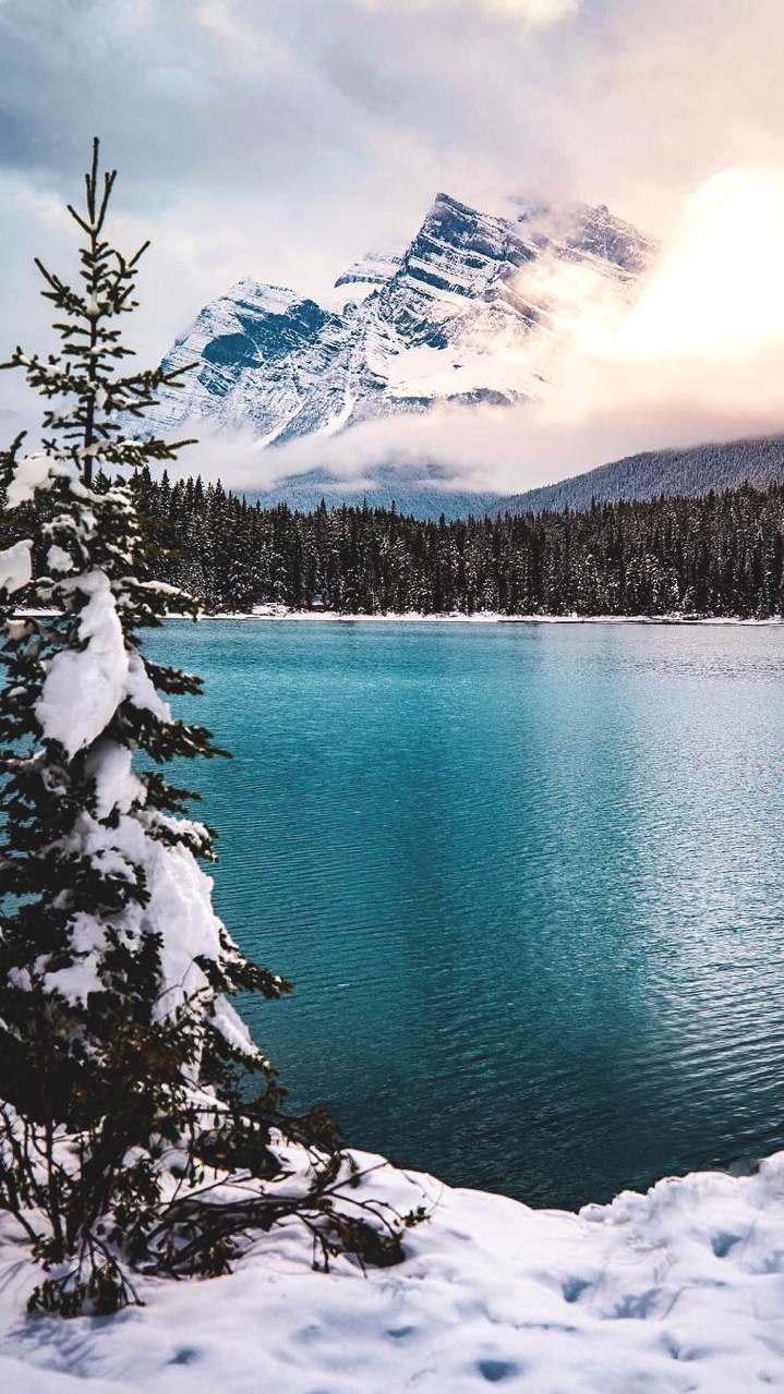 Blue Lake Winter Mountains Pine Trees IPhone Wallpaper Wallpaper, iPhone Wallpaper