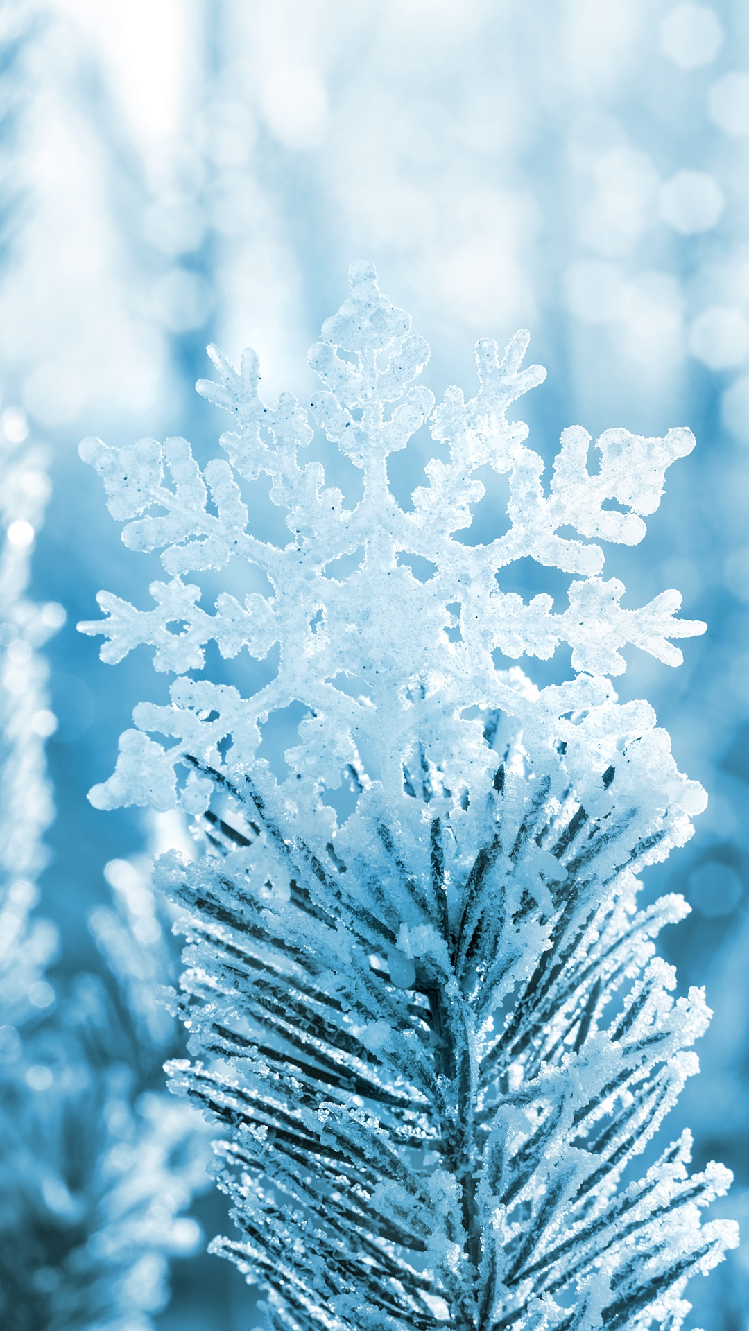 Snowflake, pine tree, winter, snow iPhone X 3GS wallpaper download