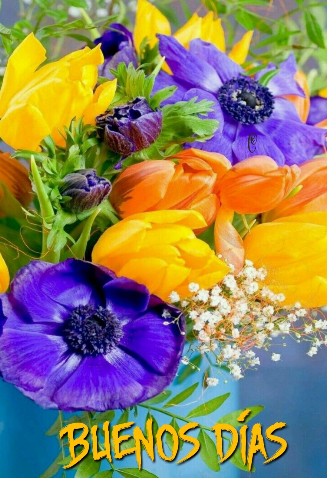 Frases de buenos días. Wallpaper nature flowers, Beautiful flowers wallpaper, Beautiful flower arrangements