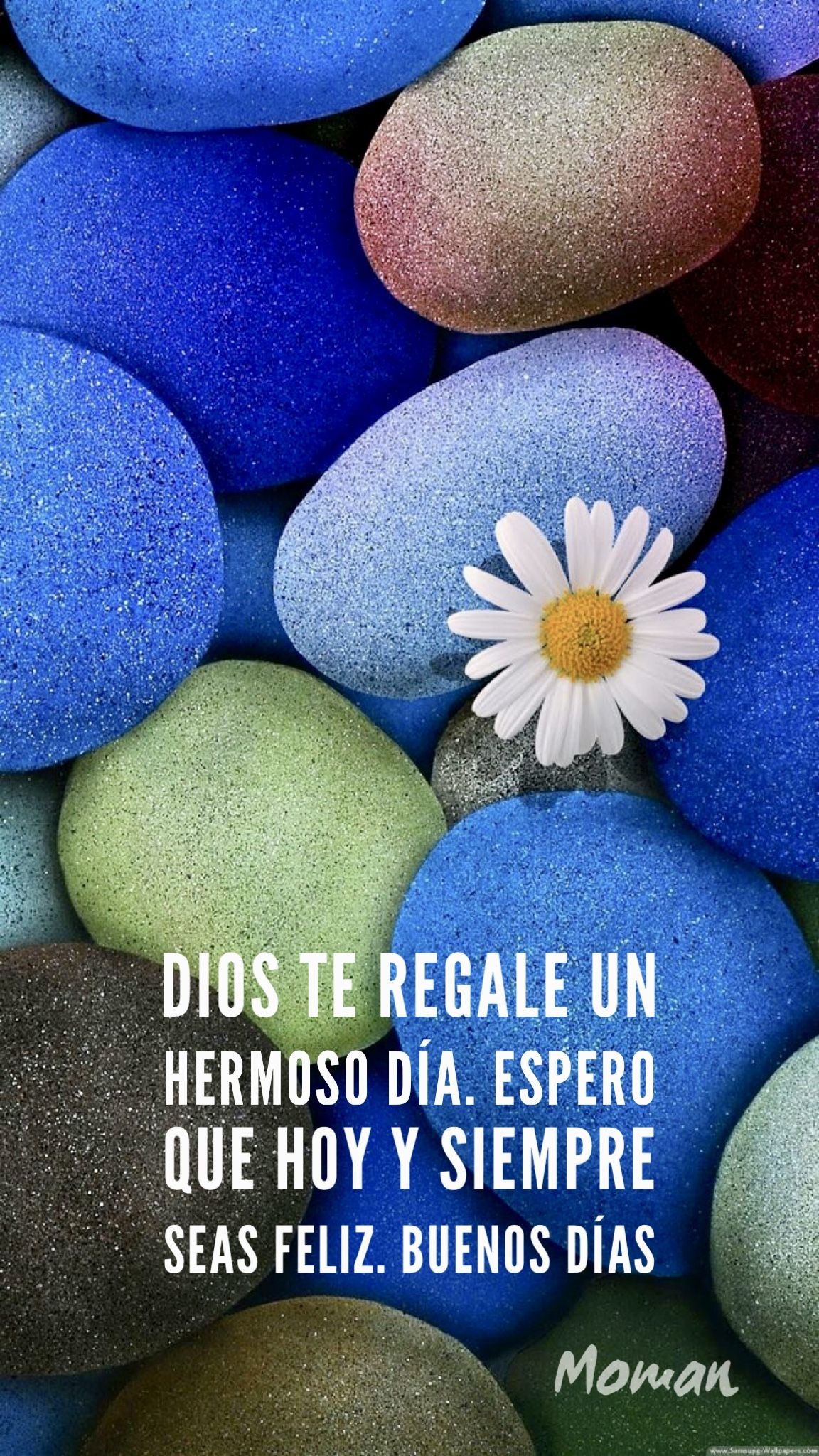 Buenos dias ideas. good morning quotes, morning greeting, morning messages