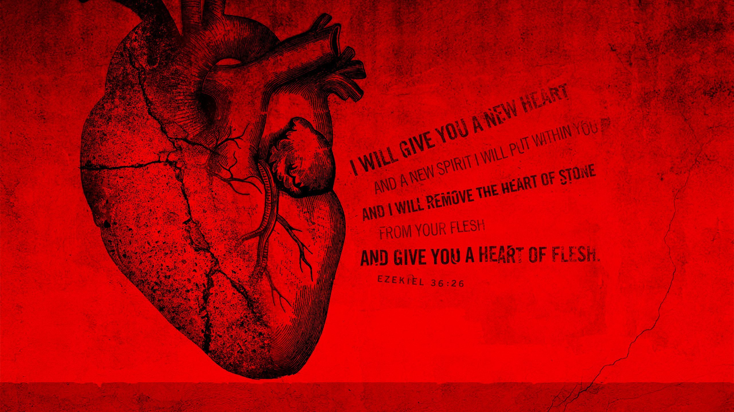 Colorful Medical Wallpaper